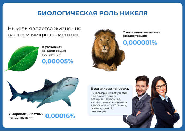 Биологическая роль никеля